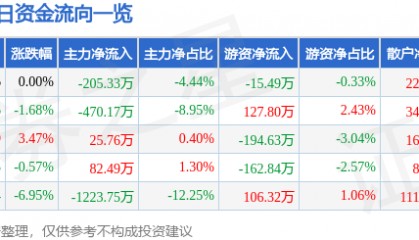 股票行情快报：辉丰股份（002496）1月9日主力资金净卖出205.33万元