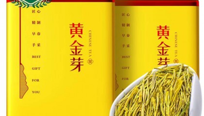 浙江茶叶真不错，值得一试！