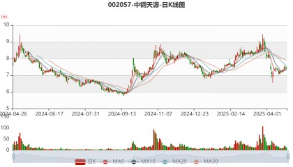 中钢天源：2024年净利润1.72亿元 拟10派0.64元