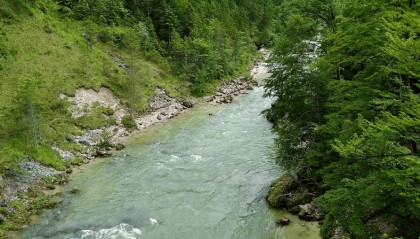 河道水情实时监测查询系统：守护水安全