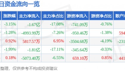 股票行情快报：岩山科技（002195）6月13日主力资金净卖出1.67亿元