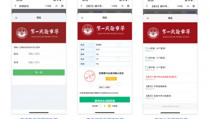 查询界面实时预览，简直不要太方便！