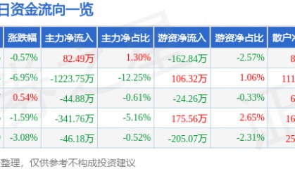 股票行情快报：辉丰股份（002496）1月6日主力资金净买入82.49万元