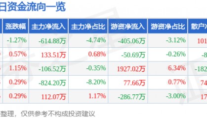 股票行情快报：江特电机（002176）6月12日主力资金净卖出614.88万元