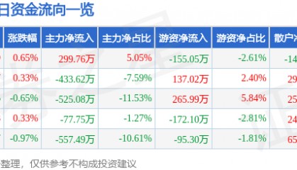 股票行情快报：华银电力（600744）3月11日主力资金净买入299.76万元