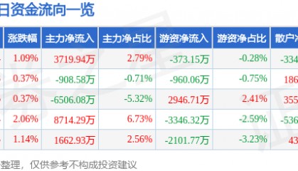 股票行情快报：岩山科技（002195）6月27日主力资金净买入3719.94万元