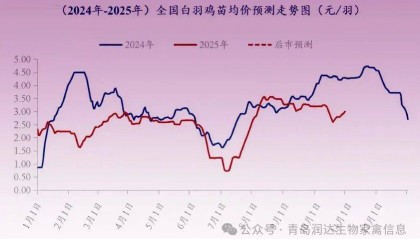 行情 | 9月肉鸡市场行情分析及10月行情预测