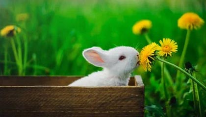 7日钛白粉价格行情分析