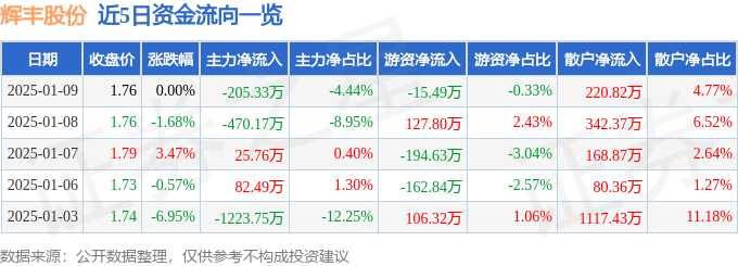 股票行情快报：辉丰股份（002496）1月9日主力资金净卖出205.33万元