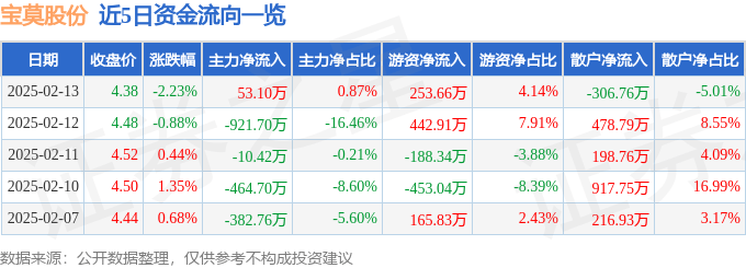 股票行情快报：宝莫股份（002476）2月13日主力资金净买入53.10万元