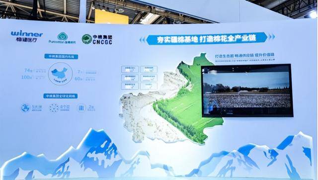 稳健医疗：筑牢百年稳健基石，激发集团强大势能