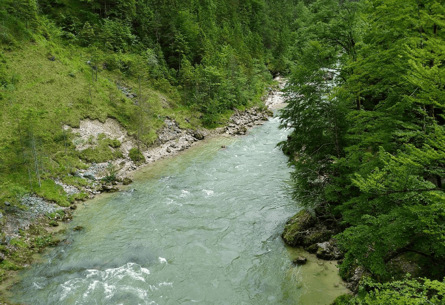 河道水情实时监测查询系统：守护水安全