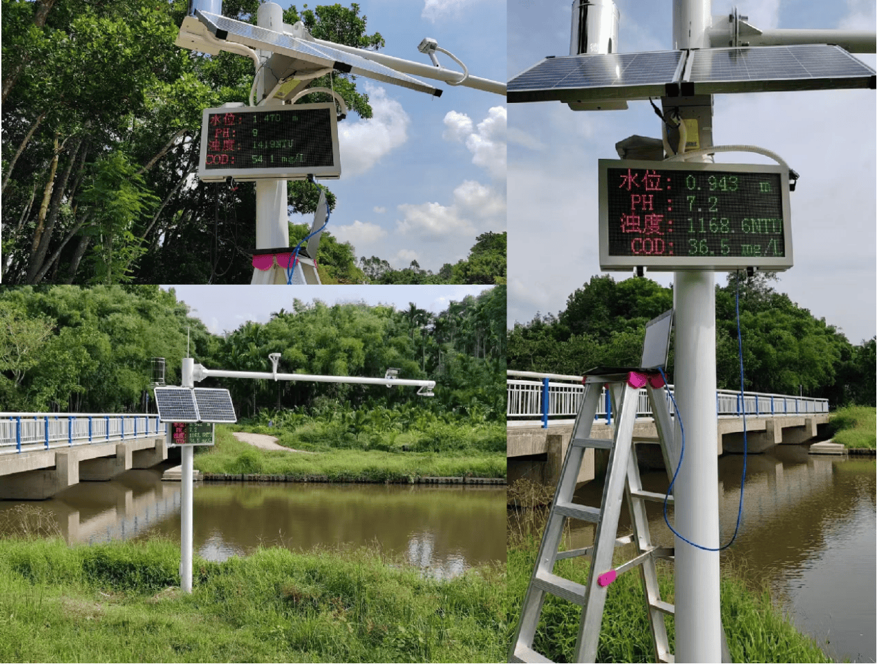 河道水情实时监测查询系统：守护水安全