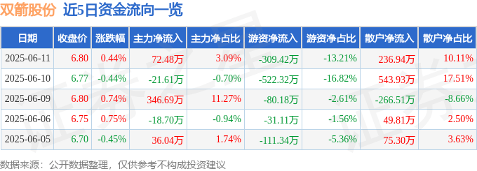 股票行情快报：双箭股份（002381）6月11日主力资金净买入72.48万元