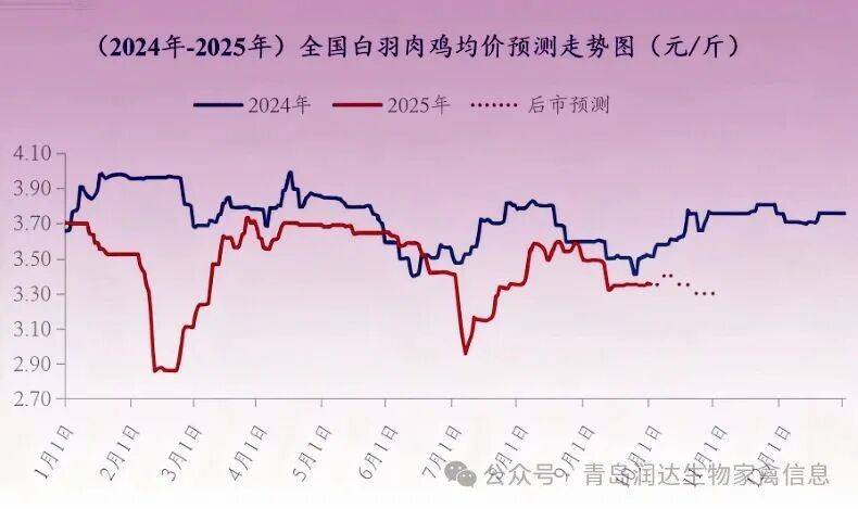 行情 | 9月肉鸡市场行情分析及10月行情预测