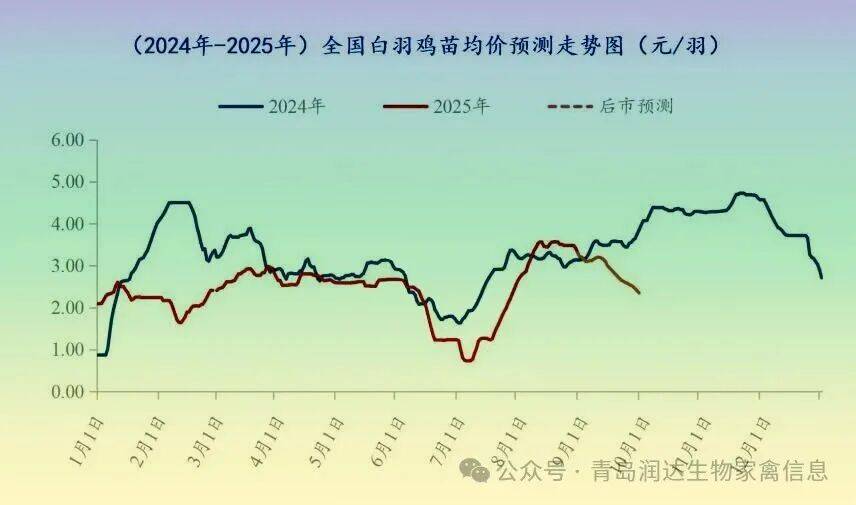 行情 | 8月肉鸡市场行情分析及9月行情预测